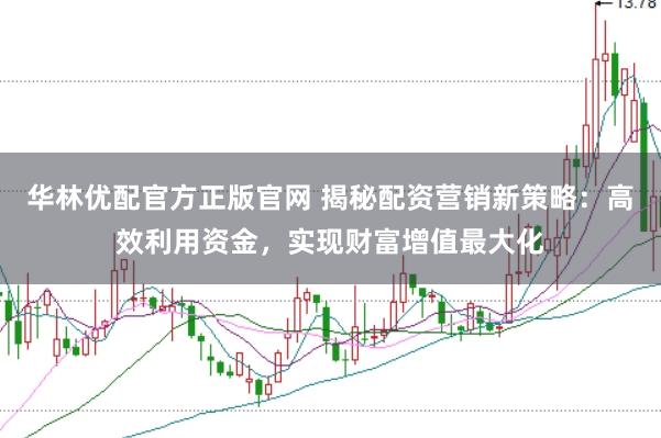 华林优配官方正版官网 揭秘配资营销新策略：高效利用资金，实现财富增值最大化