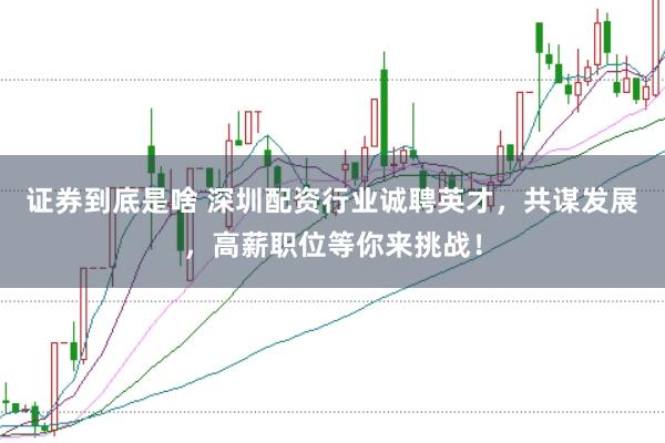 证券到底是啥 深圳配资行业诚聘英才，共谋发展，高薪职位等你来挑战！