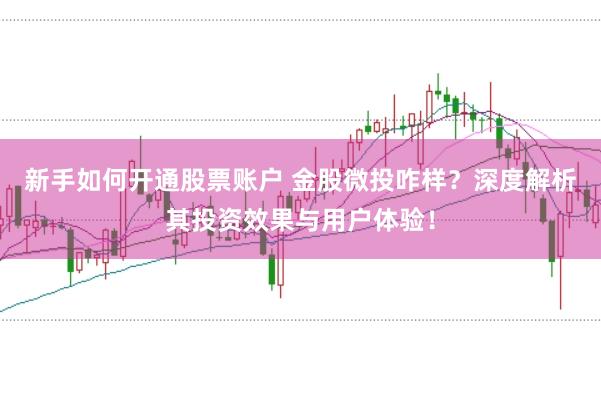 新手如何开通股票账户 金股微投咋样？深度解析其投资效果与用户体验！