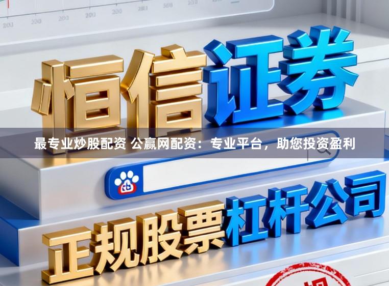 最专业炒股配资 公赢网配资：专业平台，助您投资盈利