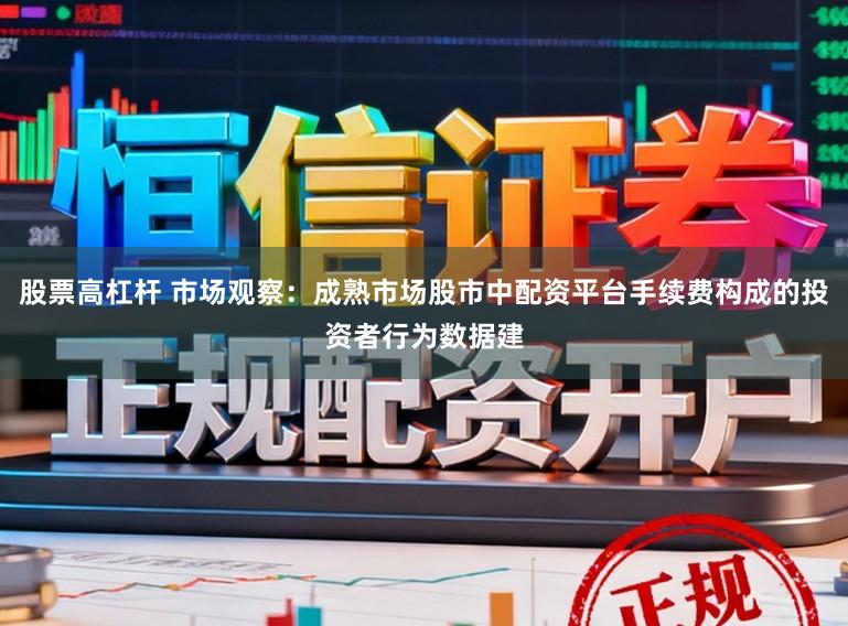 股票高杠杆 市场观察：成熟市场股市中配资平台手续费构成的投资者行为数据建