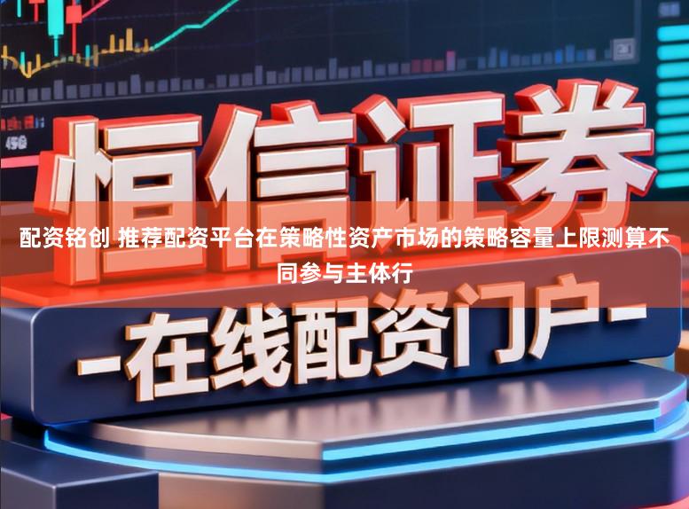 配资铭创 推荐配资平台在策略性资产市场的策略容量上限测算不同参与主体行