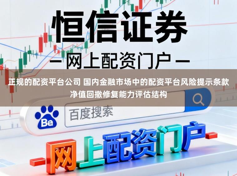 正规的配资平台公司 国内金融市场中的配资平台风险提示条款净值回撤修复能力评估结构