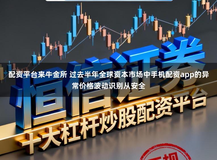 配资平台来牛金所 过去半年全球资本市场中手机配资app的异常价格波动识别从安全